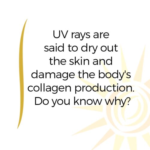 ENG UV rays and skin collagen